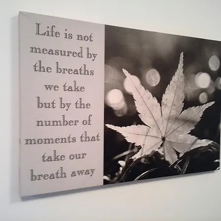 Apartment Prestige Split