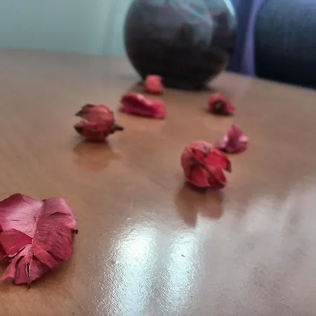 Apartment Prestige Split